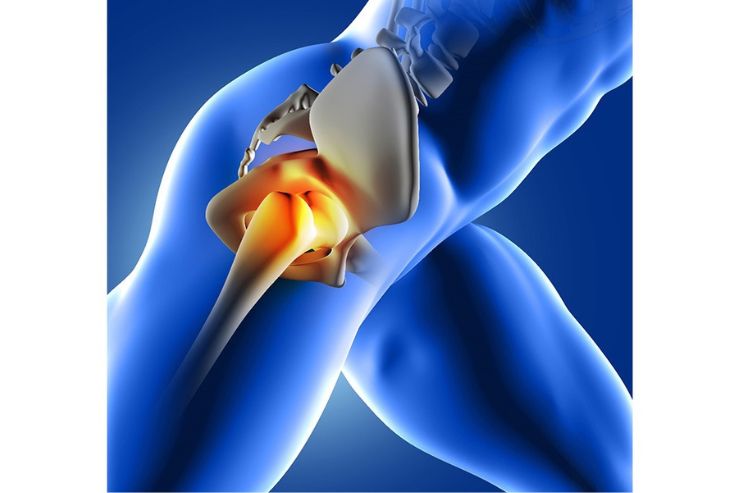 pain hip joint